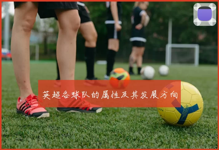 英超各球队的属性及其发展方向