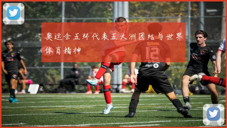 奥运会五环代表五大洲团结与世界体育精神
