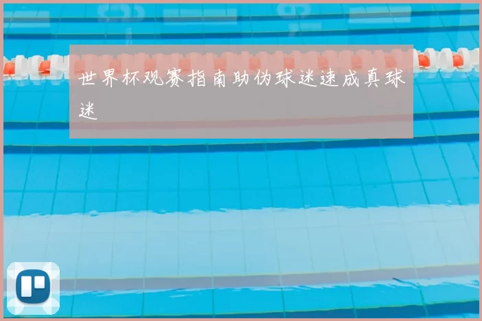 世界杯观赛指南助伪球迷速成真球迷
