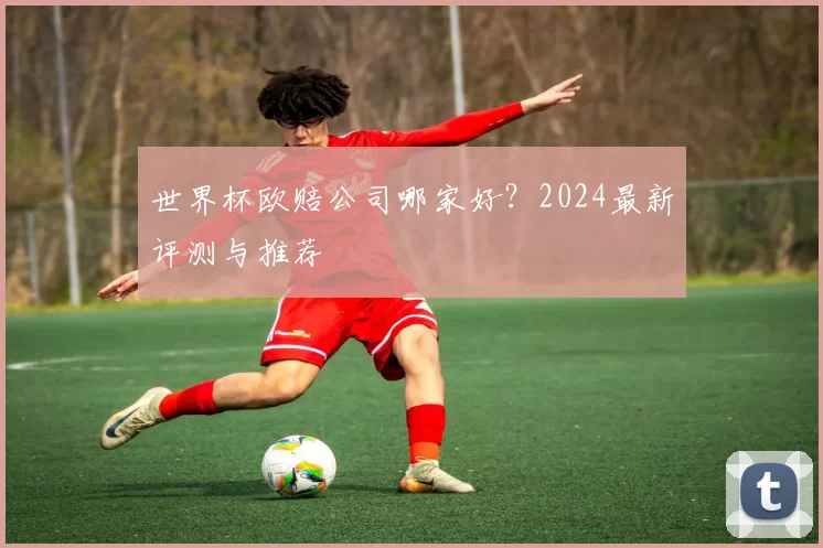 世界杯欧赔公司哪家好?2024最新评测与推荐