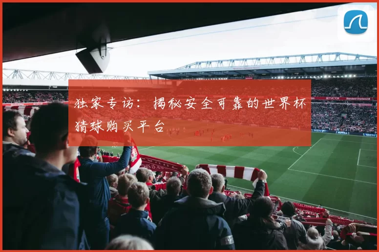 独家专访:揭秘安全可靠的世界杯猜球购买平台