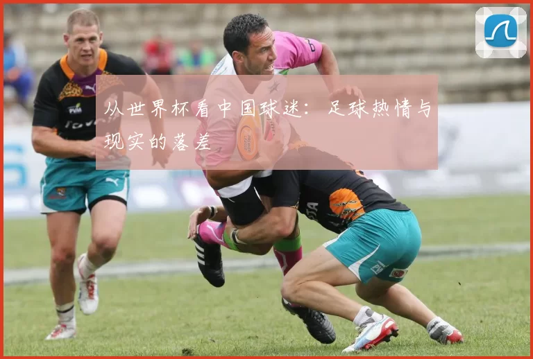 从世界杯看中国球迷：足球热情与现实的落差
