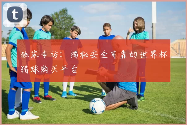 独家专访:揭秘安全可靠的世界杯猜球购买平台