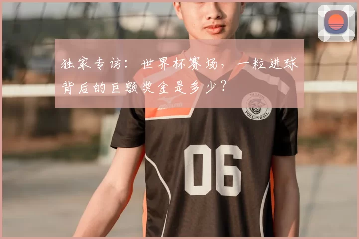 独家专访:世界杯赛场,一粒进球背后的巨额奖金是多少?