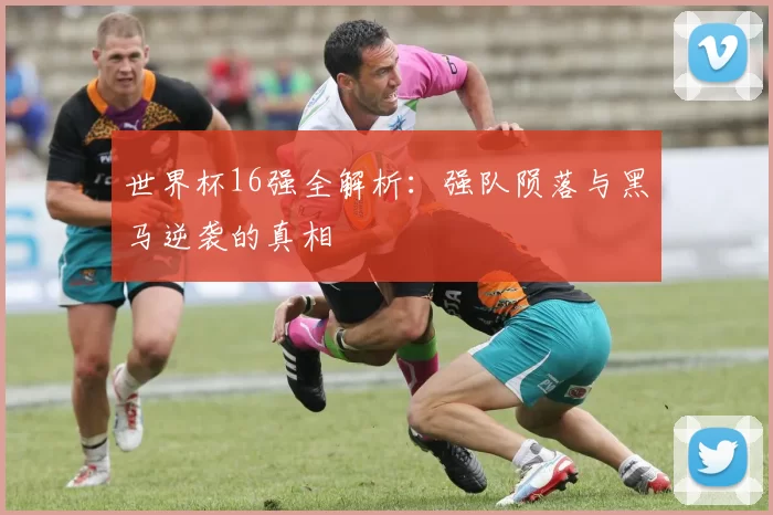 世界杯16强全解析:强队陨落与黑马逆袭的真相