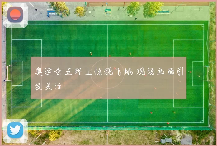 奥运会五环上惊现飞蛾 现场画面引发关注