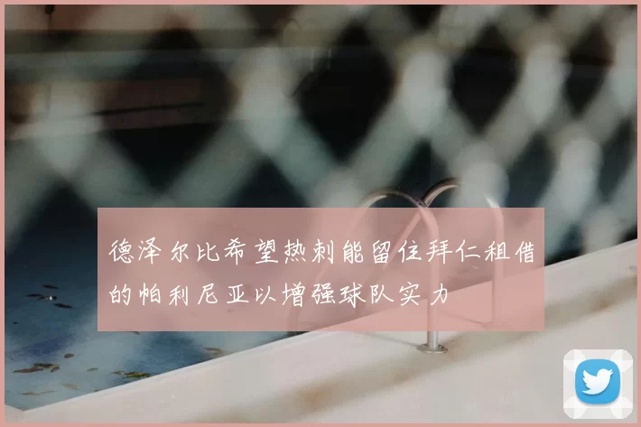 德泽尔比希望热刺能留住拜仁租借的帕利尼亚以增强球队实力