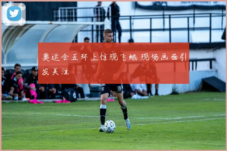 奥运会五环上惊现飞蛾 现场画面引发关注
