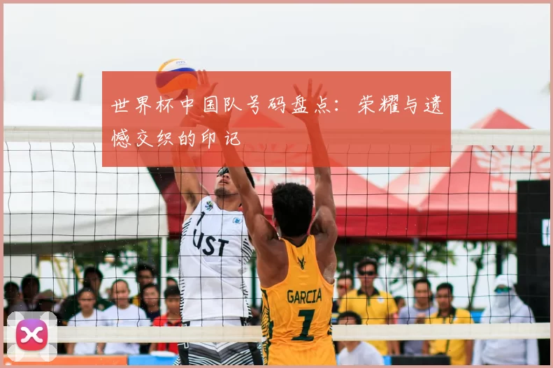 世界杯中国队号码盘点:荣耀与遗憾交织的印记