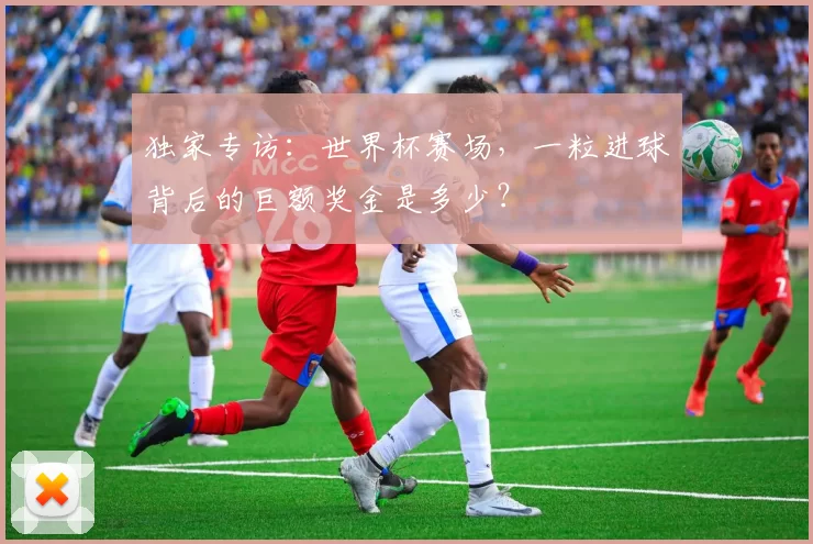 独家专访：世界杯赛场，一粒进球背后的巨额奖金是多少？
