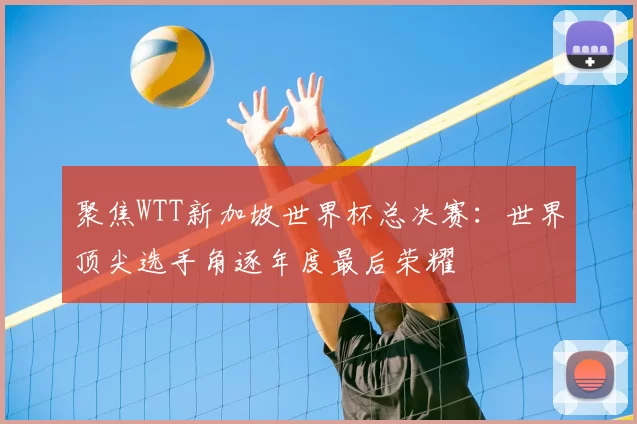 聚焦WTT新加坡世界杯总决赛：世界顶尖选手角逐年度最后荣耀