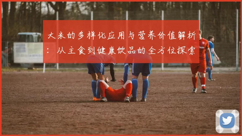 大米的多样化应用与营养价值解析：从主食到健康饮品的全方位探索
