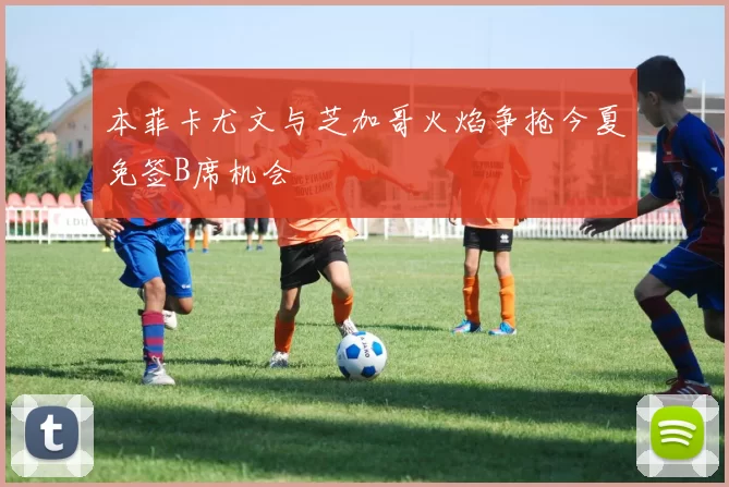 本菲卡尤文与芝加哥火焰争抢今夏免签B席机会