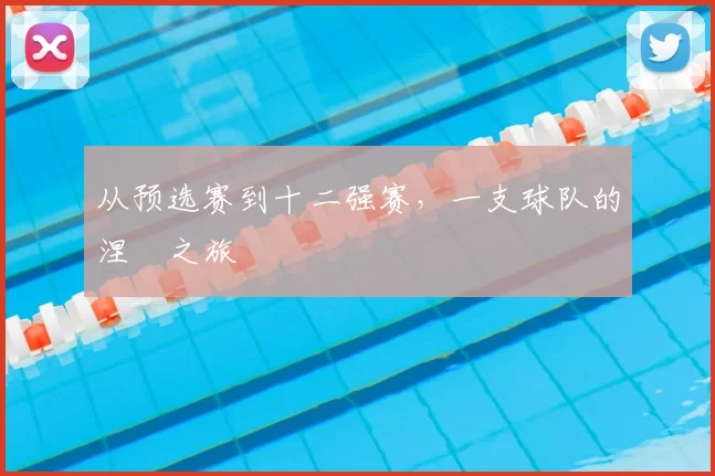 从预选赛到十二强赛,一支球队的涅槃之旅