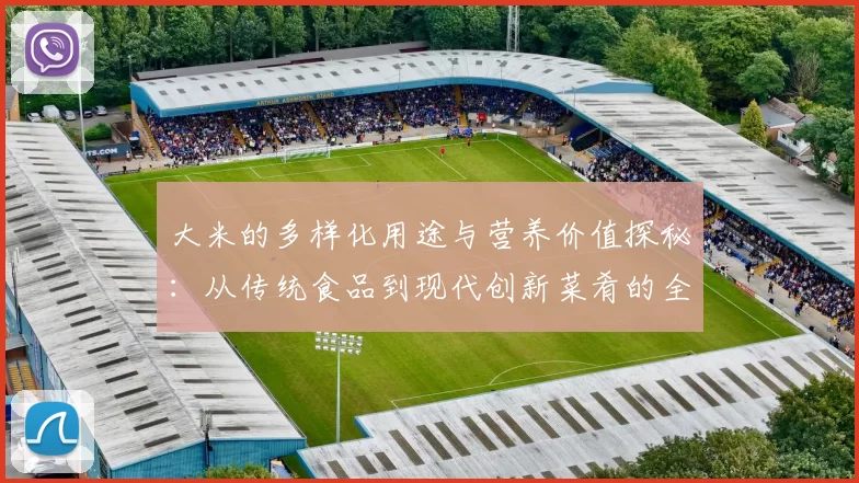 大米的多样化用途与营养价值探秘：从传统食品到现代创新菜肴的全面解析