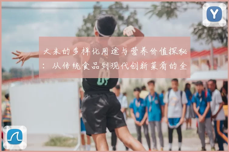 大米的多样化用途与营养价值探秘：从传统食品到现代创新菜肴的全面解析