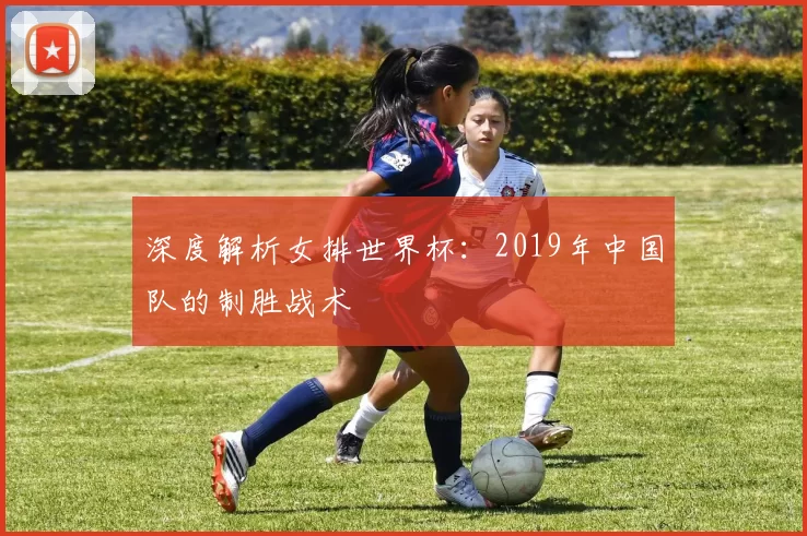 深度解析女排世界杯:2019年中国队的制胜战术