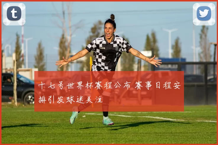 十七号世界杯赛程公布 赛事日程安排引发球迷关注