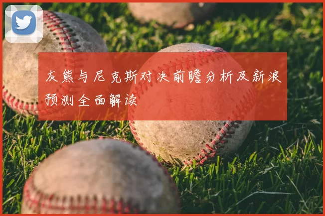 灰熊与尼克斯对决前瞻分析及新浪预测全面解读