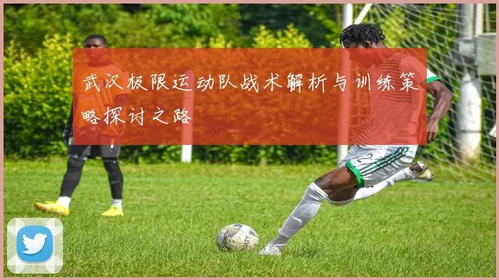 武汉极限运动队战术解析与训练策略探讨之路