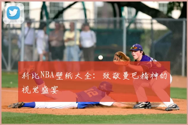 科比NBA壁纸大全：致敬曼巴精神的视觉盛宴