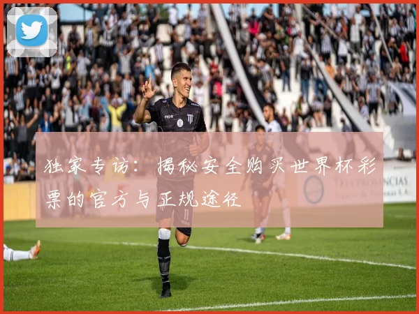独家专访:揭秘安全购买世界杯彩票的官方与正规途径