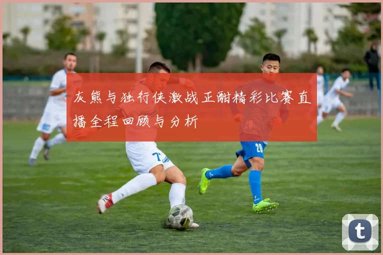 灰熊与独行侠激战正酣精彩比赛直播全程回顾与分析