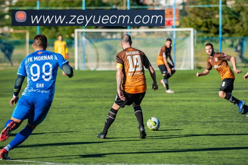 爱游戏官网发展历程