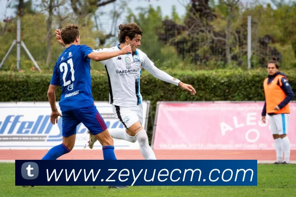 从篮球起源到全球盛宴：NBA发展历程的变革与未来趋势